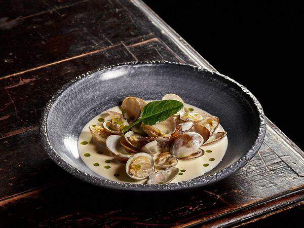 Цех этого города - Мидии Вонголе в сливочном соусе