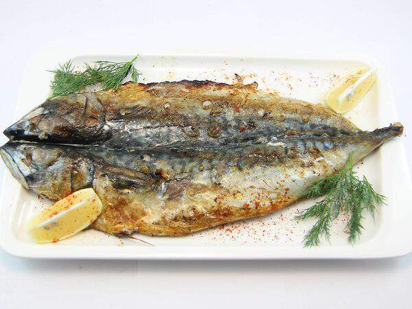 Угли - Скумбрия гриль
