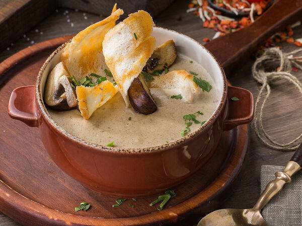 Вепрево колено - Кремова полевка с джибку