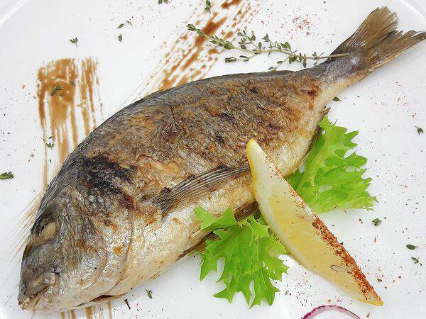 Дали - Радужная форель