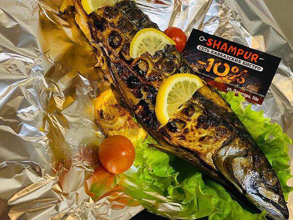 Shampur - Скумбрия