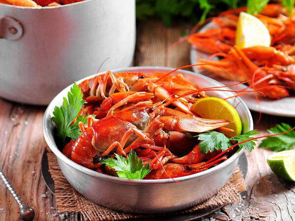 Ресторан Гофманъ в Оренбурге