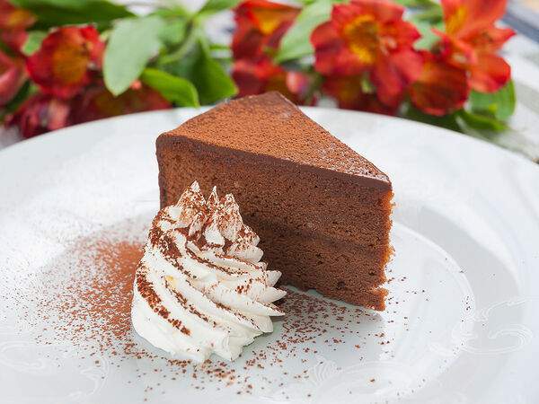 Дунай - Торт Захер