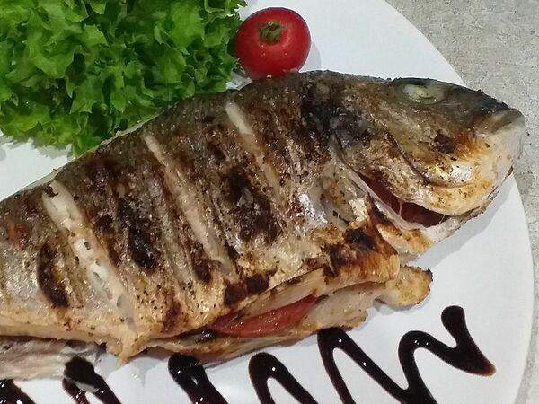 Боярд - Форель радужная