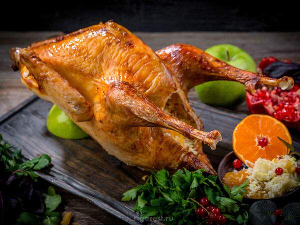 Новорижская застава - Индейка