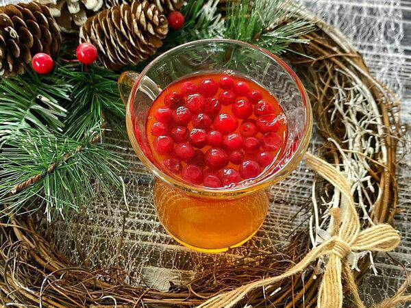 Go Coffee-Bar - Чай апельсиновый с брусникой