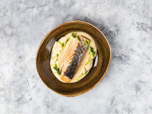 Пшеничный кот - Лосось на гриле