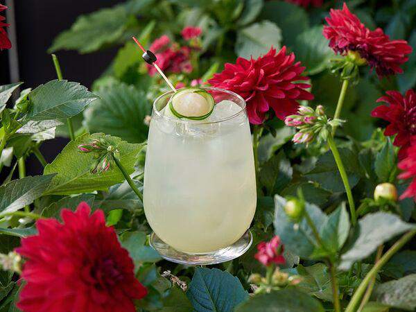 Китайская грамота - Лимонад огурец-личи