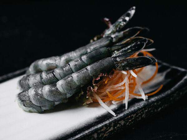 Koi sushi bar - Сашими Тенси