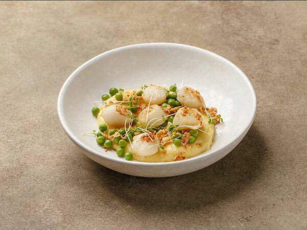 Lobby Bar - Сахалинский гребешок