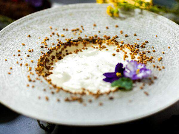 Ресторан Строгов - Фирменный десерт Медовик, каштановым медом, жасминовым облаком и цветочной пыльцой