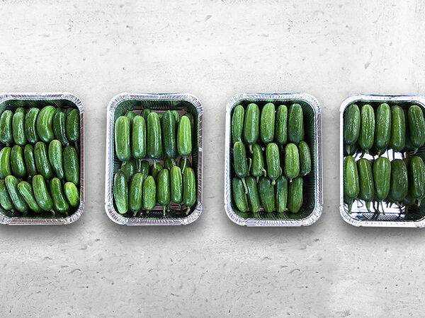 Чайхона №1 Тимура Ланского - Огурцы бакинские (упаковка 4 кг)