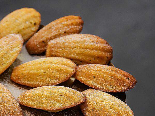 Technica - Мадлен