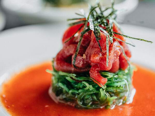 Shiba - Кайсо, тунец