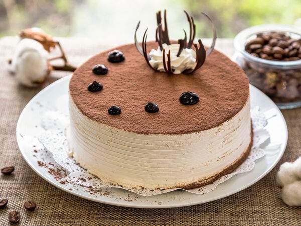 Мастер Шоколад - Торт Тирамису