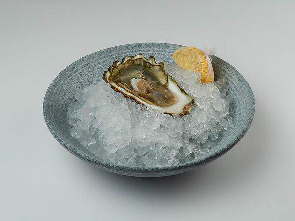 Skzk Rest - Устрица