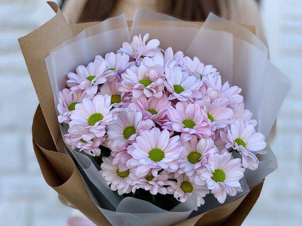 Labberry клубника в шоколаде - Мини-букет из хризантемы