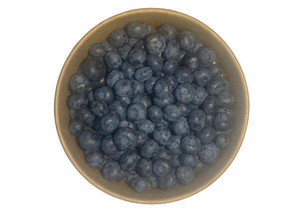 Бабушкина Грядка - Голубика