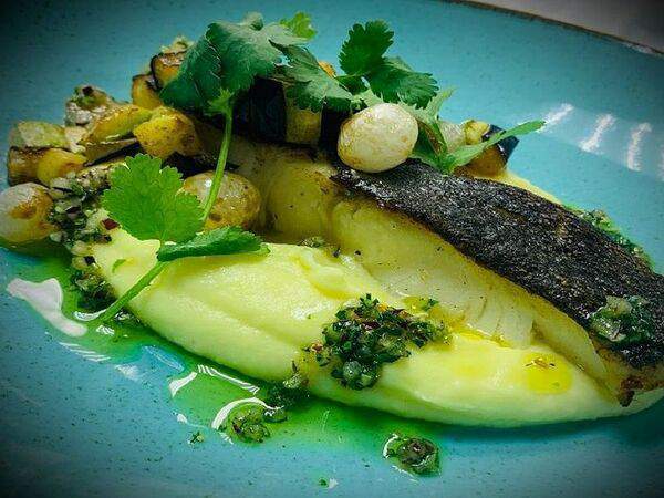 Вершина - Филе трески