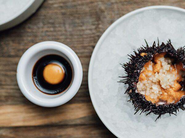 Кафе Nебо - Морской еж