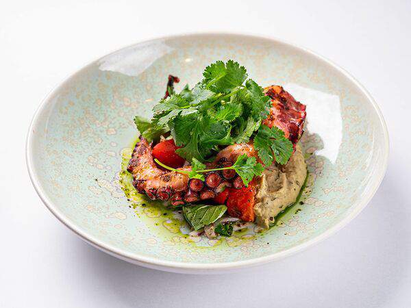 Клево - Марокканский осьминог с пюре из баклажанов