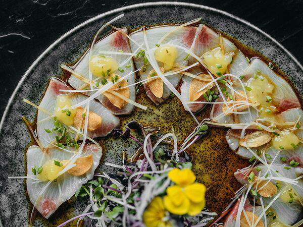 Shima - Сашими хамачи в новом стиле