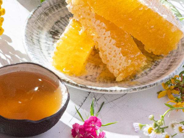 Чайхона №1 Тимура Ланского - Мед