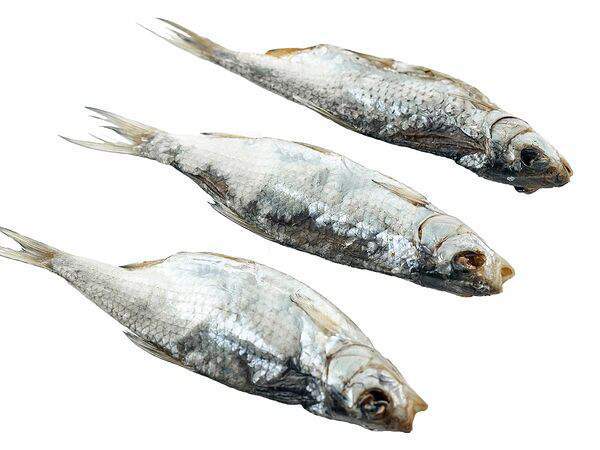 Astrakhanfish - Вобла вяленая