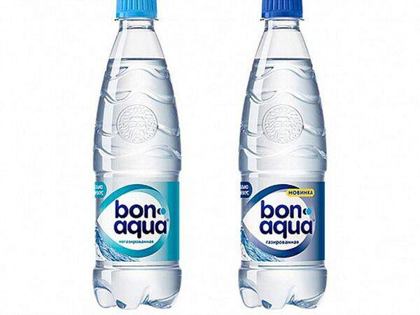 Шашлык-пикник - BonAqua