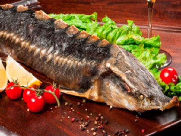 Пандок - Шашлык из стерляди