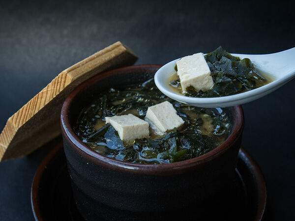 Ботаника - Мисо