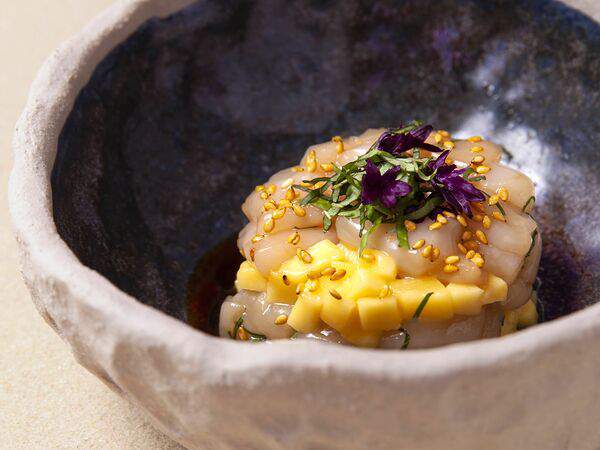 Shiba - Тартар гребешок