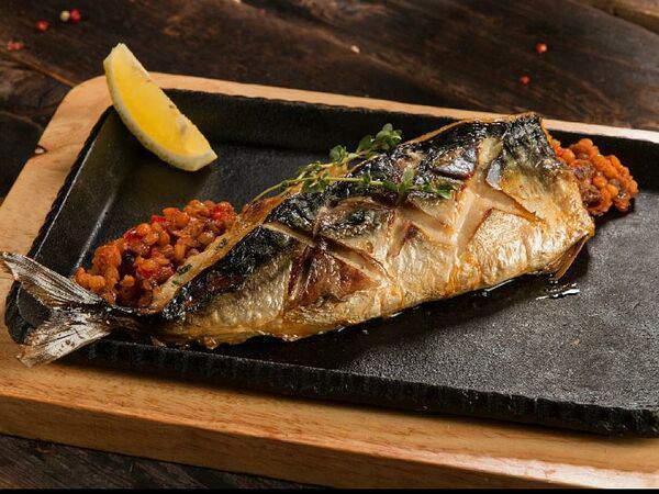 Grey Bear Pub - Скумбрия