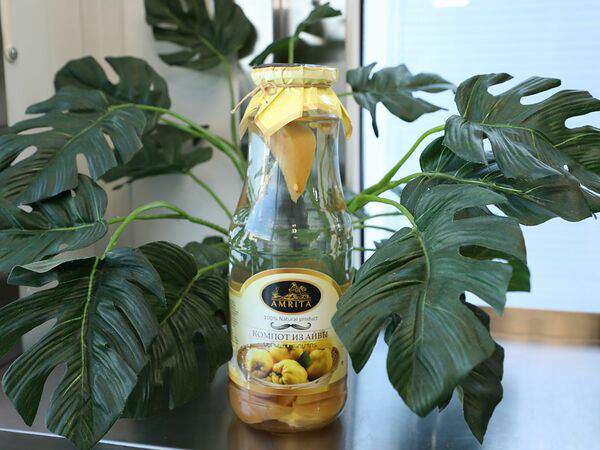 Донер 1 - Компот из айвы Амрита