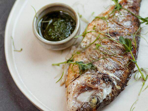 Культура - Дорадо