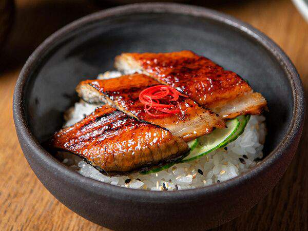 Shiba - Чираши унаги