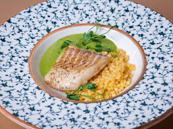 Territory Piatto - Филе трески с птитимом