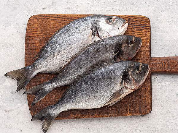 Чайхона №1 Тимура Ланского - Дорадо охлаждённое