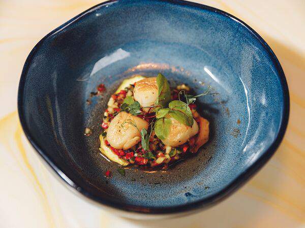 Blocknot - Морской гребешок