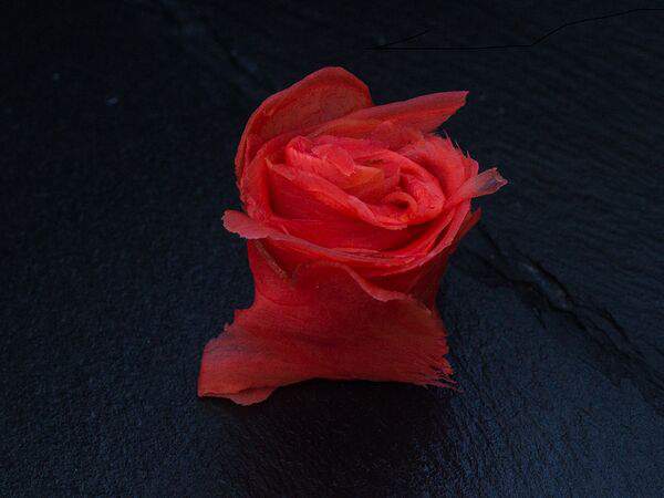 Sushi & Susi - Имбирь