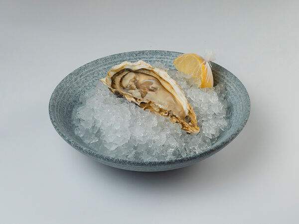 Skzk Rest - Устрица импортная