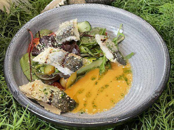 Викинги - Салат с сигом и овощами с острой медовой заправкой