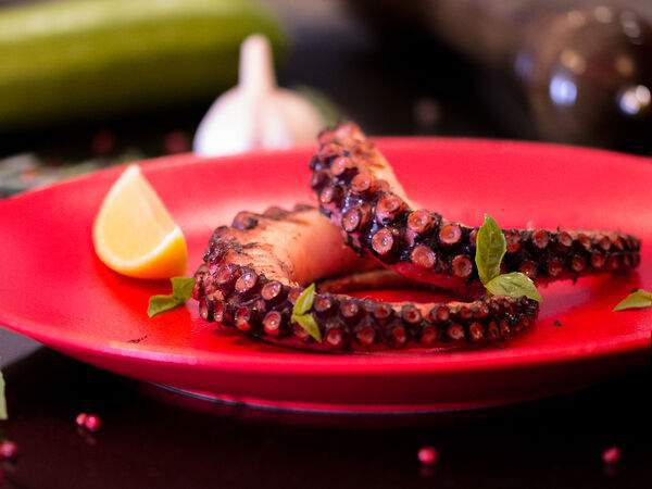 Dolce Vita - Осьминог