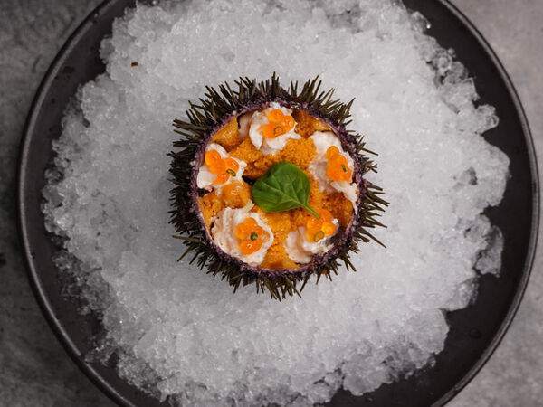 Delicates74 - Морской еж с камчатским крабом и икрой лосося