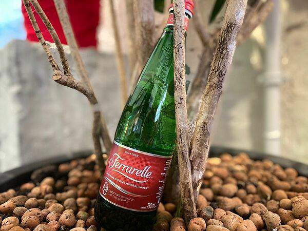 Avocado queen - Ferrarelle