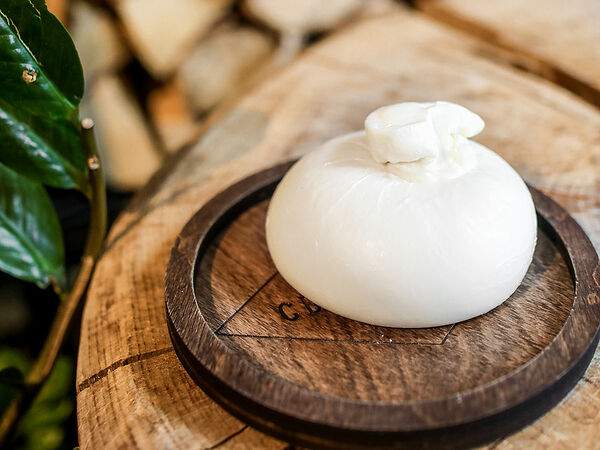 Сыроварня - Буррата