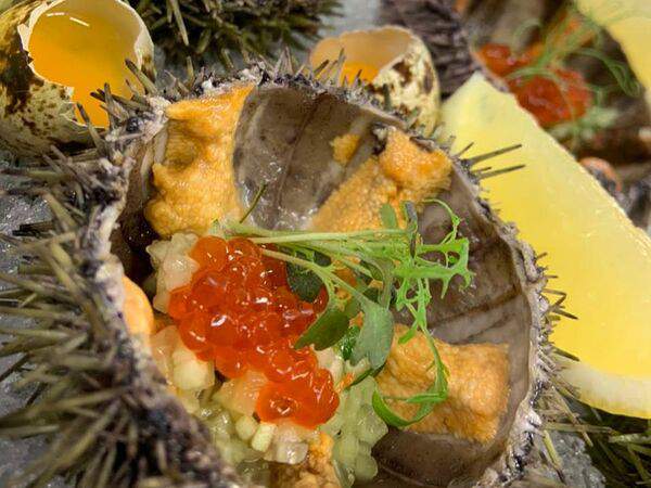 Pelican - Сет арктический