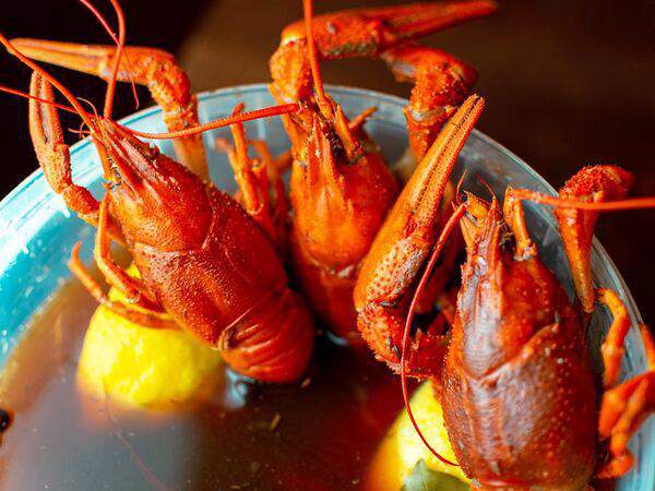 Crayfish - Раки варёные в резаном пиве