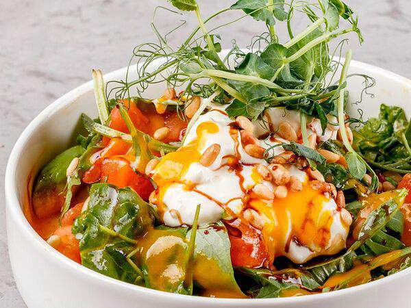 Terra - Салат с томатами, страчателлой и манговым соусом