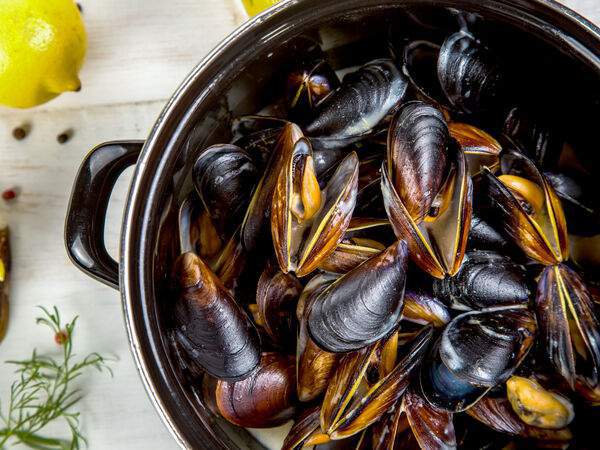 Кафе-brasserie Бригантина - Мидии Маринье